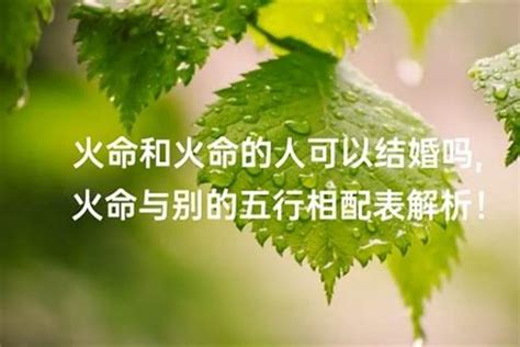 男火女土|土命和火命婚姻好吗 土和火配吗